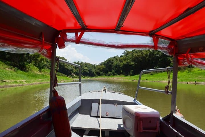 8-Hour Amazonas Jungle Trek and Anavilhanas Archipelago Day Tour from Manaus photo 5