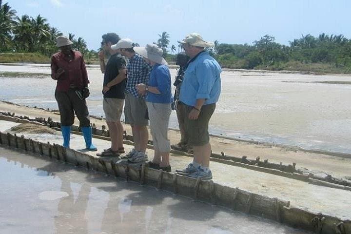 Full-Day Sisal Plantation & Processing Tour in Tanga, Tanzania photo 2