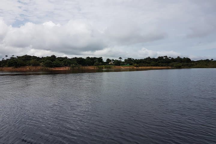 4-Day Amazon Jungle Adventure from Manaus: Piranhas, Caimans & Caboclo Culture photo 5