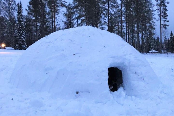 Build a Snow Igloo in Rovaniemi — Family Lapland Igloo-Building Experience photo 3