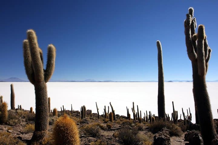 2-Day Uyuni Mirror Lakes Experience from La Paz — Salt Flat Overnight photo 6