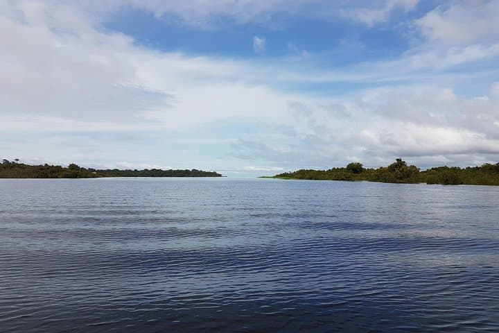 Overnight Amazon Lodge: 2-Day Jungle Adventure from Manaus photo 3