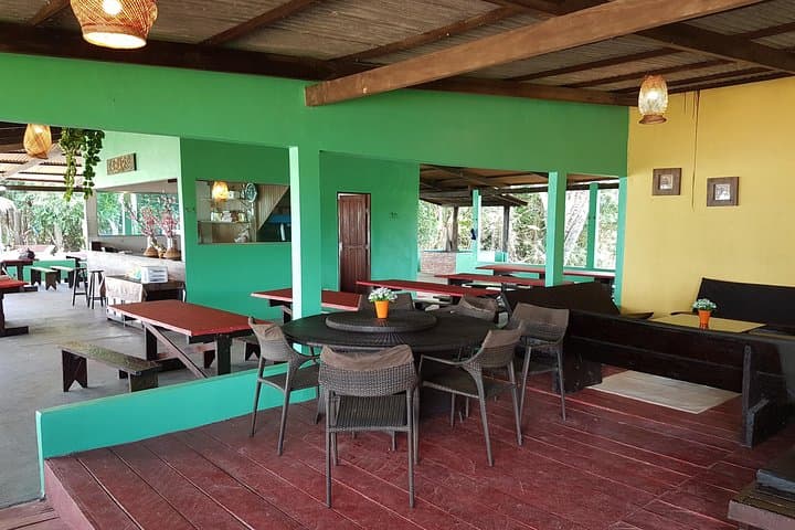Overnight Amazon Lodge: 2-Day Jungle Adventure from Manaus photo 5