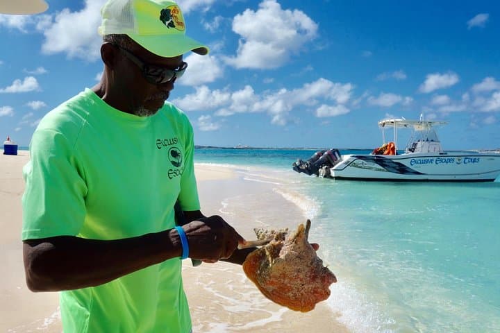Gibbs Cay Stingray Swim and Live Conch Dive — Grand Turk Day Trip photo 3
