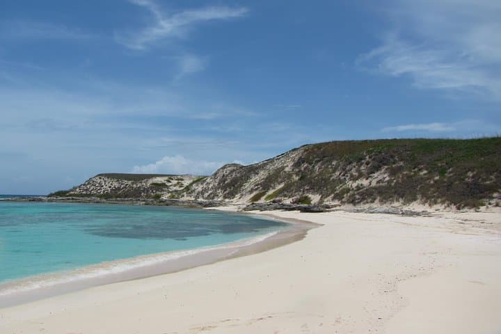 Gibbs Cay Stingray Swim and Live Conch Dive — Grand Turk Day Trip photo 4