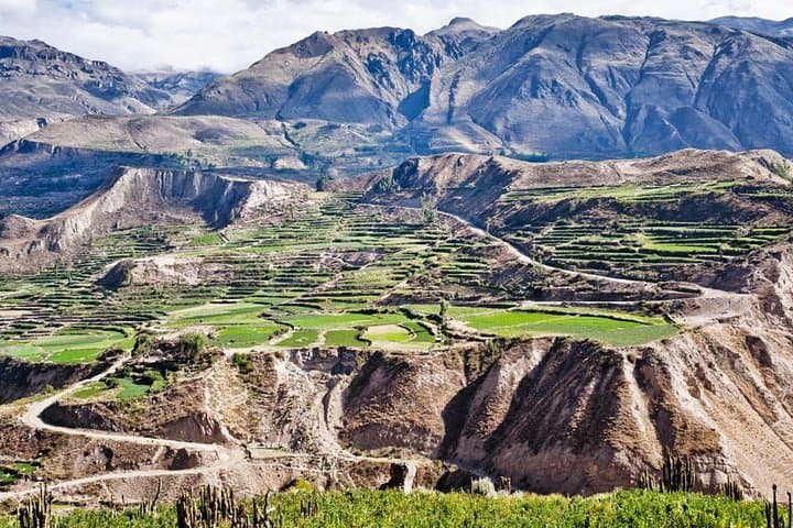 Colca 2D-1N Experience: Colca Canyon, Condors & Hot Springs from Arequipa