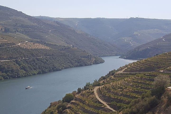 Douro Valley River Cruise & Wine Tasting: Full-Day Tour from Porto photo 4