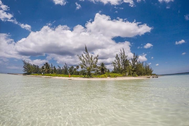 Private Luxury Charters to Stingray City — Snorkel, Starfish Point & Bioluminescence photo 2