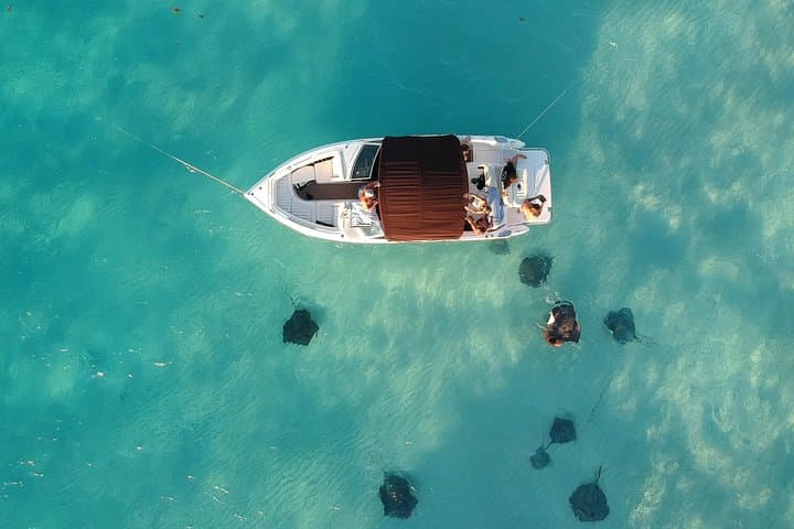 Private Luxury Charters to Stingray City — Snorkel, Starfish Point & Bioluminescence photo 6