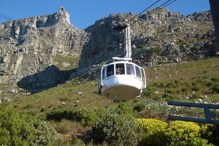 Half-Day City & Table Mountain Tour — Cable Car Views, Bo-Kaap & Company Gardens photo 2