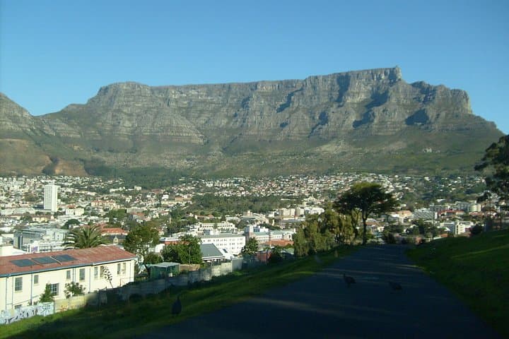 Half-Day City & Table Mountain Tour — Cable Car Views, Bo-Kaap & Company Gardens photo 3