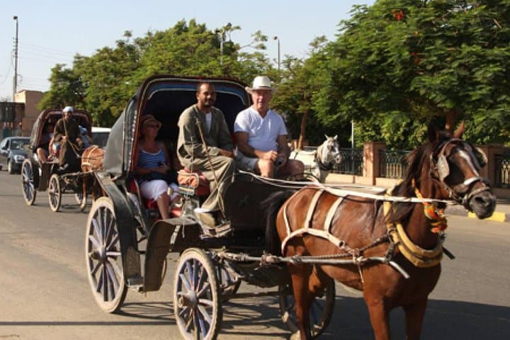 Sunset Horse-and-Carriage Tour of Aswan Along the Nile