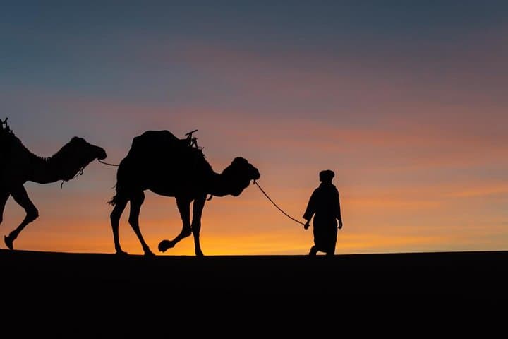 3-Day Merzouga Desert Trip from Marrakech: Erg Chebbi, Todgha & Dades Gorges photo 6