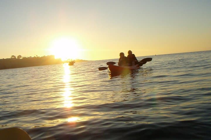 La Jolla Kayak Rental: Paddle La Jolla Shores and Explore Kelp Forests photo 5