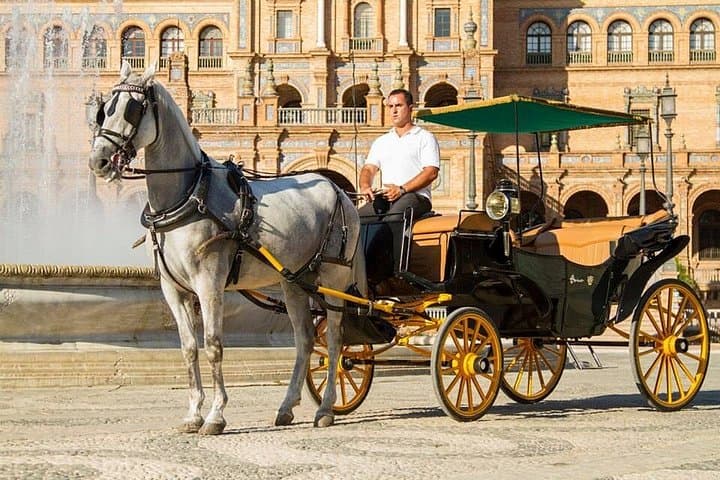 Horse and Buggy Ride Through Seville: Historic Carriage Tour with Local Guide photo 2