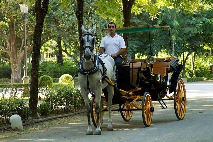 Horse and Buggy Ride Through Seville: Historic Carriage Tour with Local Guide photo 3