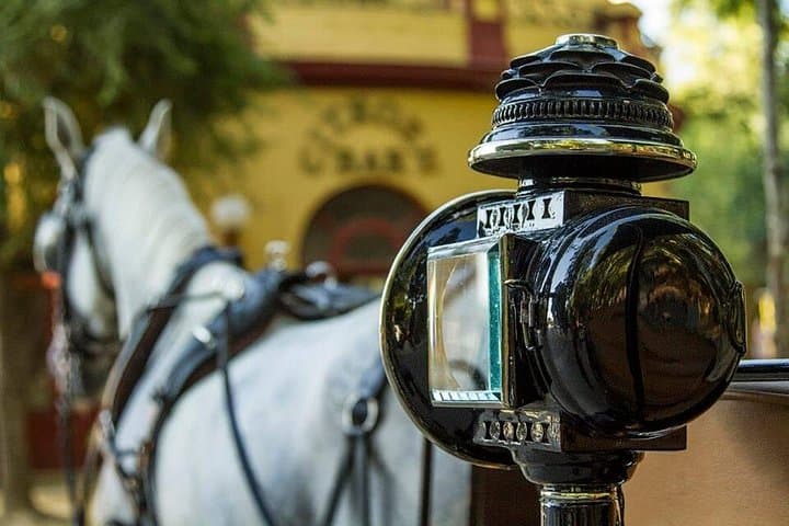 Horse and Buggy Ride Through Seville: Historic Carriage Tour with Local Guide photo 4