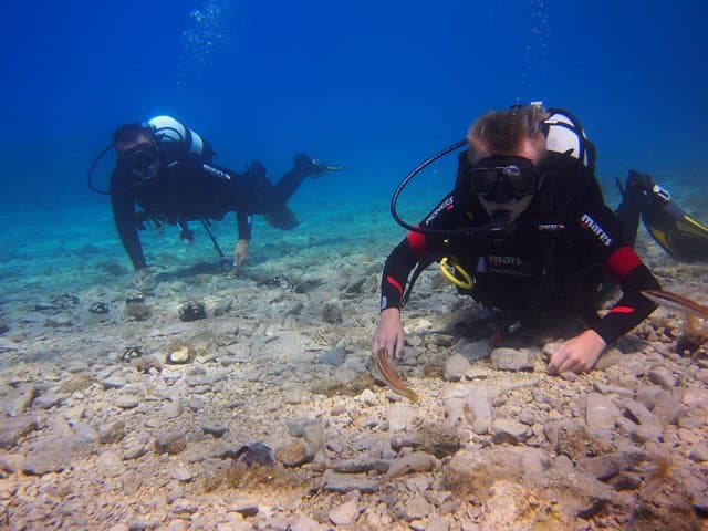 Brela Bikini Dive: Private Try Scuba on the Home Reef (45-Min Underwater Experience)