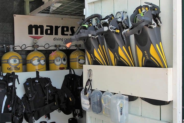Brela Bikini Dive: Private Try Scuba on the Home Reef (45-Min Underwater Experience) photo 3