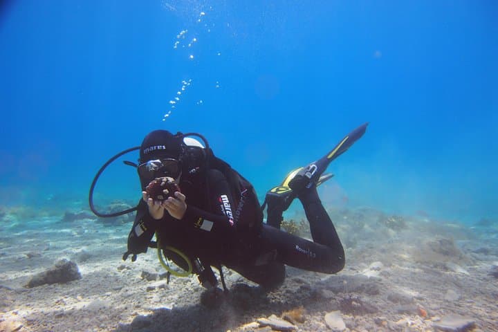 Brela Bikini Dive: Private Try Scuba on the Home Reef (45-Min Underwater Experience) photo 4