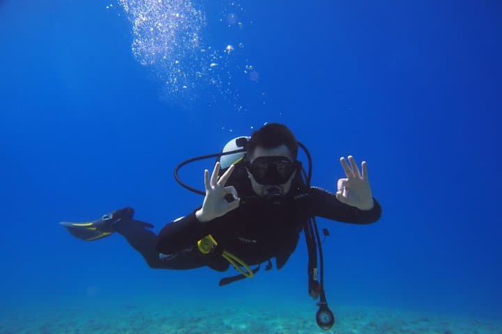 Brela Bikini Dive: Private Try Scuba on the Home Reef (45-Min Underwater Experience) photo 5