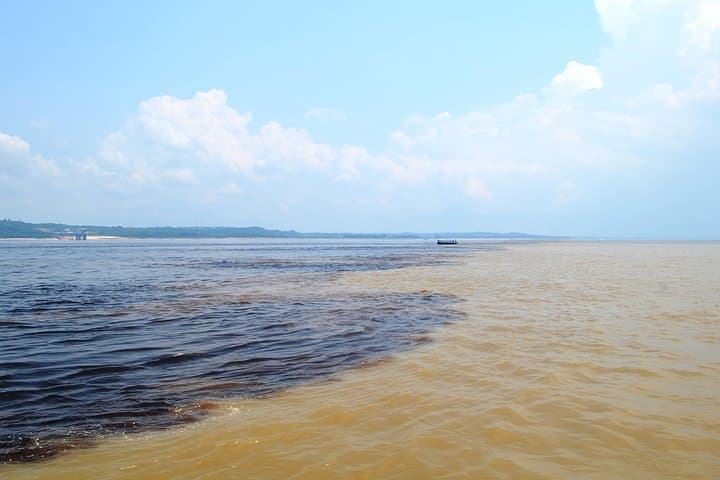Amazon Negro River Half-Day Expedition: Meeting of the Waters & Lake Janauari