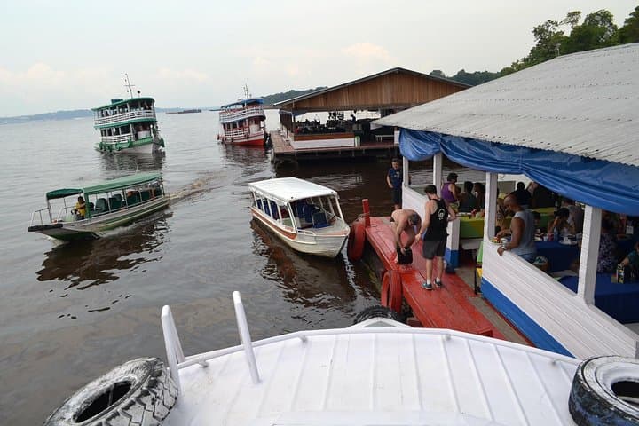 Amazon Negro River Half-Day Expedition: Meeting of the Waters & Lake Janauari photo 3