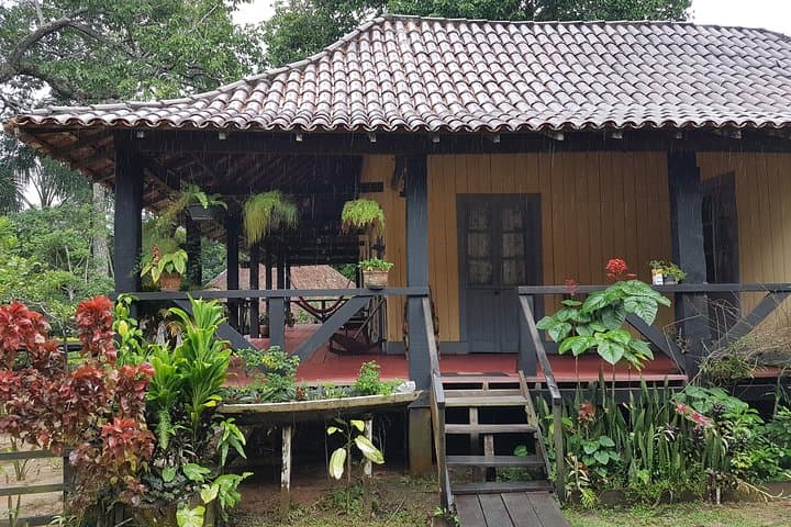 Visiting the Rubber Museum from Manaus: Seringal History and Tupé Beach Stop