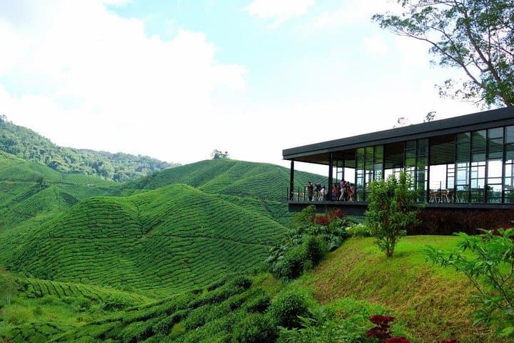 Cameron Highlands Full-Day Nature Tour: Tea Plantations, Waterfalls & Markets photo 3