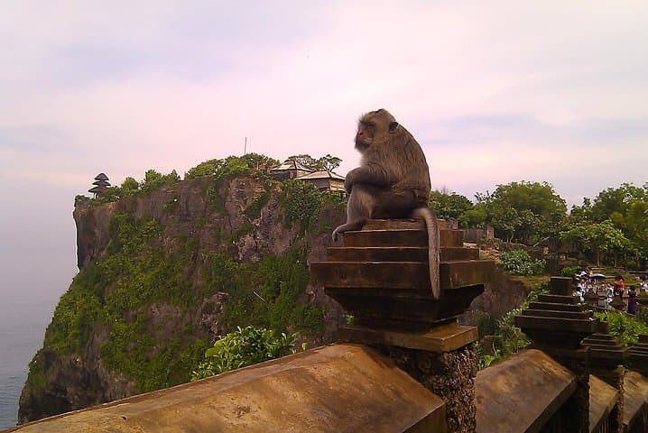 Tanah Lot and Uluwatu Temple Tour: Cliff-Top Sunsets and Coastal Culture in Bali photo 6