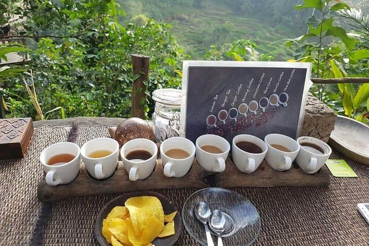 Ubud Day Tour: Rice Terraces, Monkey Forest & Traditional Offering Workshop photo 5