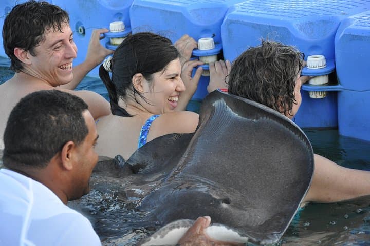 Dive into Adventure: Sharks & Stingrays Encounter in Punta Cana photo 3