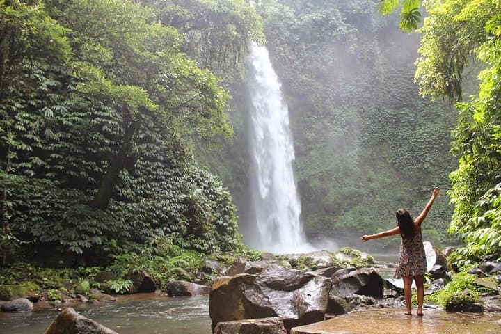 Private Full-Day West Bali Tour: Ulun Danu, Gitgit Waterfall & Wanagiri Views photo 4