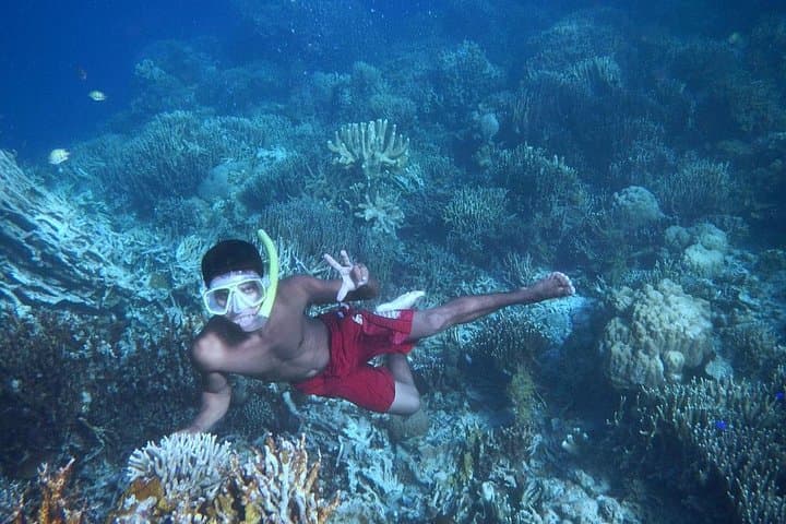 Coron Reefs & WWII Wreck Snorkel: Private Tour to Pass Island & Lusong photo 2