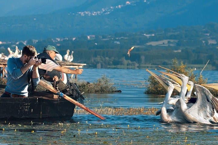 Kerkini Lake Day Trip from Thessaloniki: Flamingos, Buffalos & Birdwatching photo 3