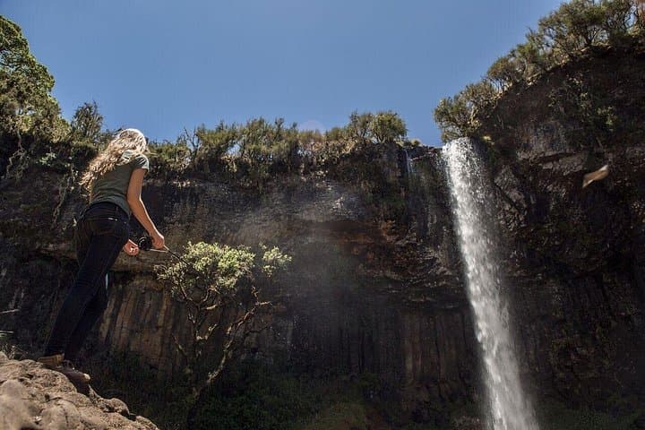 3-Day Aberdare Safari: National Park Game Drives & The Ark Experience
