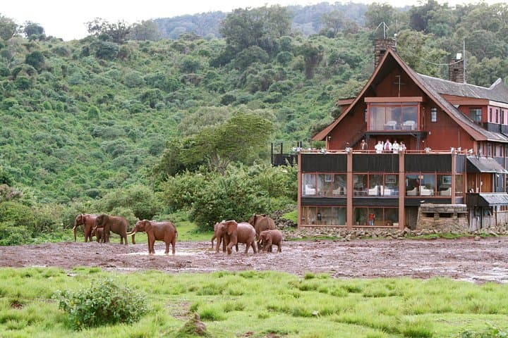 3-Day Aberdare Safari: National Park Game Drives & The Ark Experience photo 5