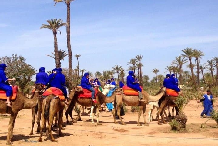 Camel Ride in Marrakech Palm Grove — Palmeraie Camel Tour & Berber Tea Visit photo 5