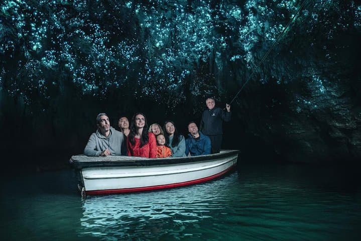 Private Waitomo Caves Day Trip from Auckland — Glowworm Grotto & Ruakuri Cave