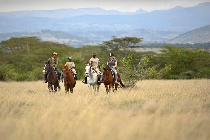 3-Day Solio Ranch Safari: Rhino Encounters & Aberdare Highlands