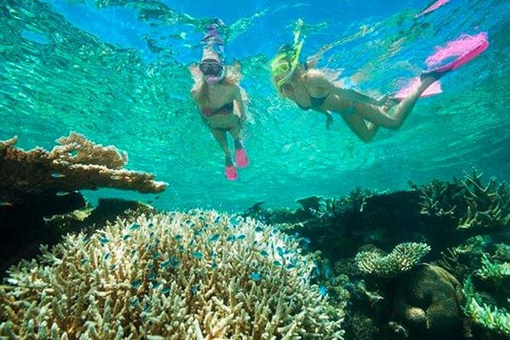 Roatan Catamaran Snorkel: Shipwrecks, Starfish & Big Bight Beach Transfer photo 2