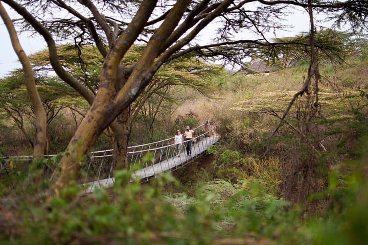 Urban Safari Adventure: Exploring Nairobi National Park in 3 Days photo 2