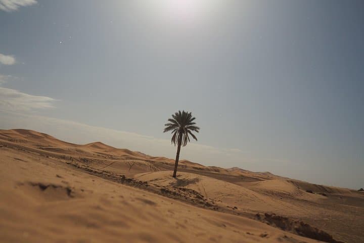 Air-Conditioned Nomadic Desert Camp in Erg Chebbi — Overnight Merzouga Experience photo 6