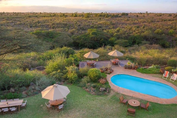 Urban Safari Adventure: Exploring Nairobi National Park in 3 Days photo 4