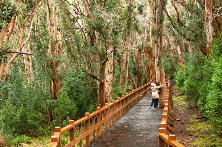 Bariloche in Three Days: Circuito Chico, Victoria Island & the Seven Lakes Drive photo 2