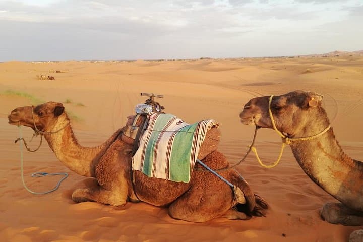 Fes to Merzouga Desert Trip: 2-Day Camel Ride & Overnight Sahara Camp photo 3