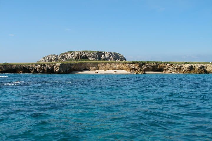 Marietas Islands Whale Watching and Snorkeling from Sayulita photo 4