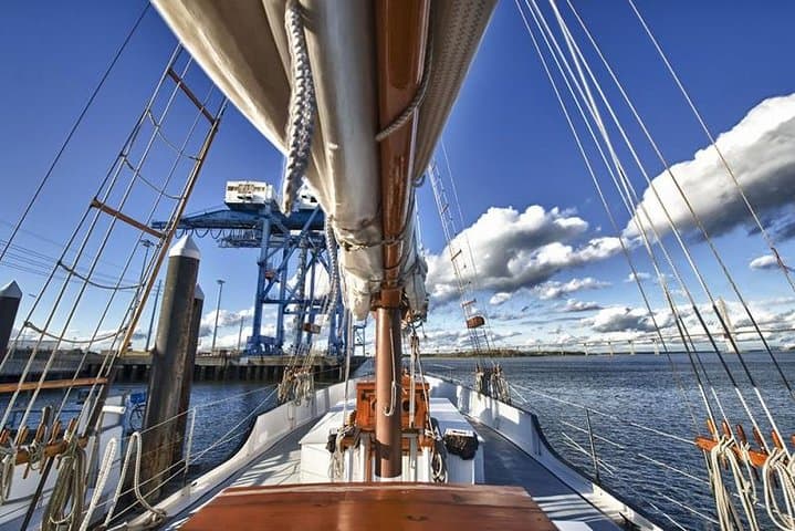 Schooner Dolphin Cruise in Charleston Harbor: Afternoon Sailing on the Pride photo 4