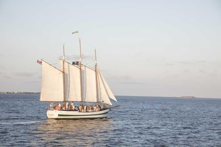 Schooner Dolphin Cruise in Charleston Harbor: Afternoon Sailing on the Pride photo 6