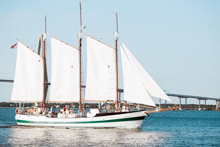 Schooner Dolphin Cruise in Charleston Harbor: Afternoon Sailing on the Pride photo 5